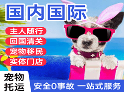 观音空运地址国际宠物托运 【国